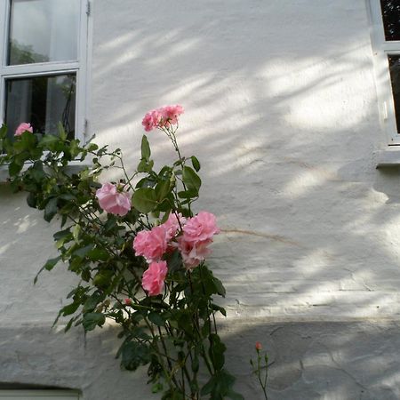 Ferienwohnung Boiesminde Vamdrup Exterior foto