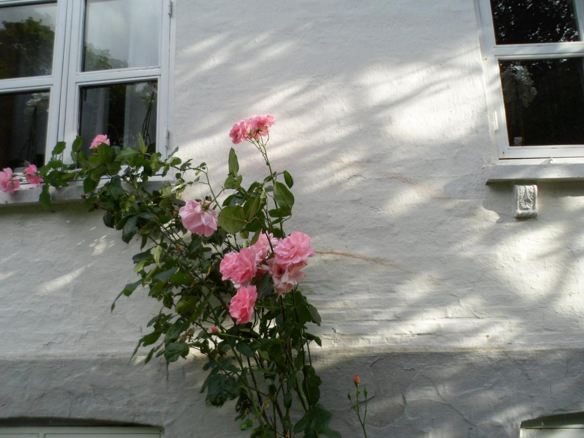 Ferienwohnung Boiesminde Vamdrup Exterior foto